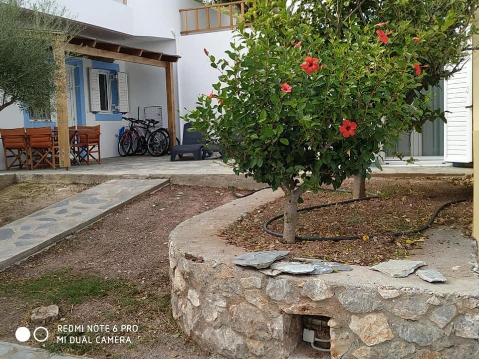 Alkioni Sea View Apartment Káto Zákros Bagian luar foto