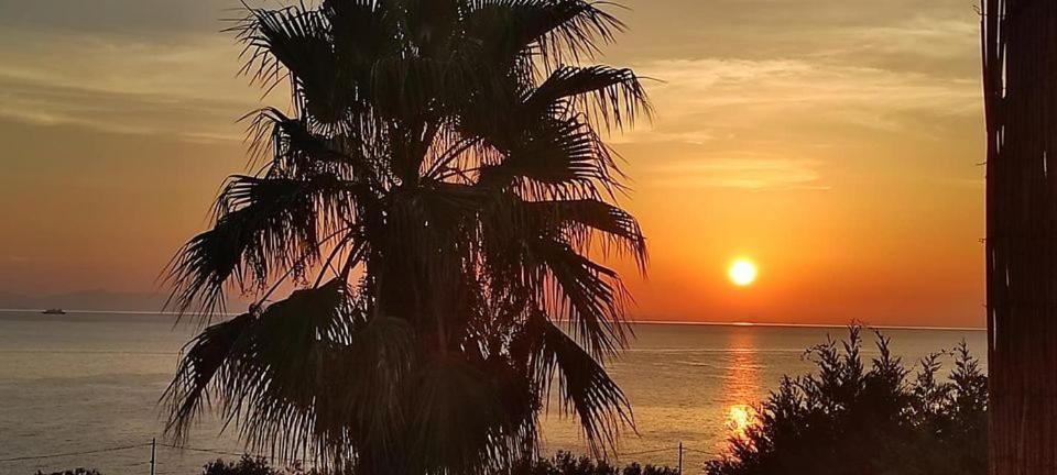 Alkioni Sea View Apartment Káto Zákros Bagian luar foto