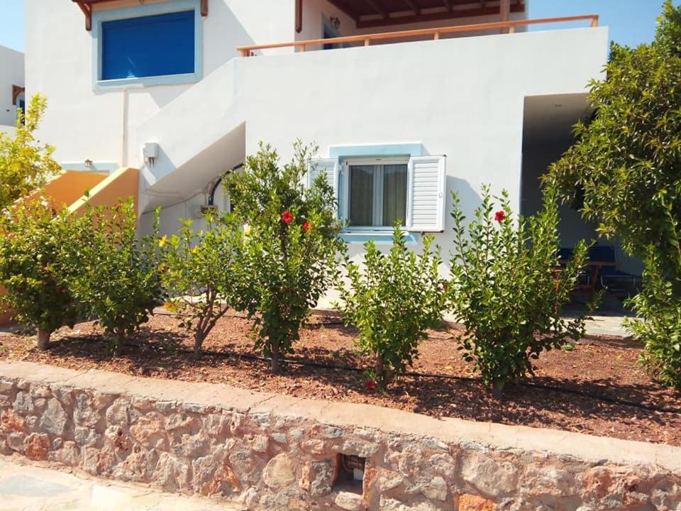 Alkioni Sea View Apartment Káto Zákros Bagian luar foto
