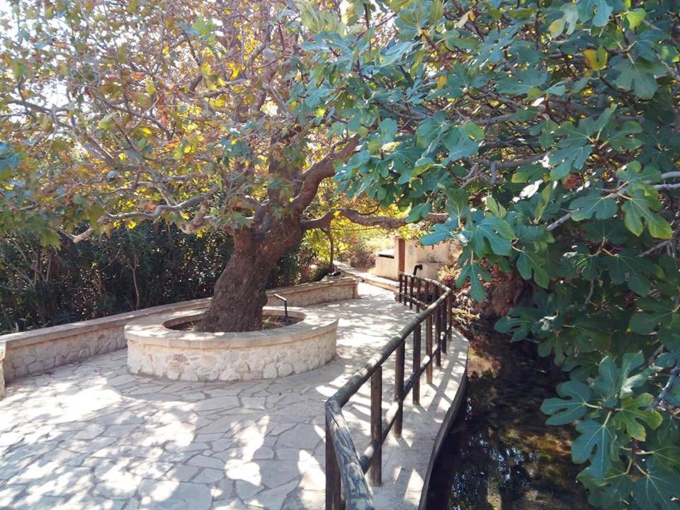 Alkioni Sea View Apartment Káto Zákros Bagian luar foto