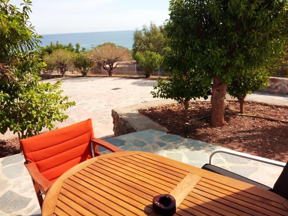 Alkioni Sea View Apartment Káto Zákros Bagian luar foto