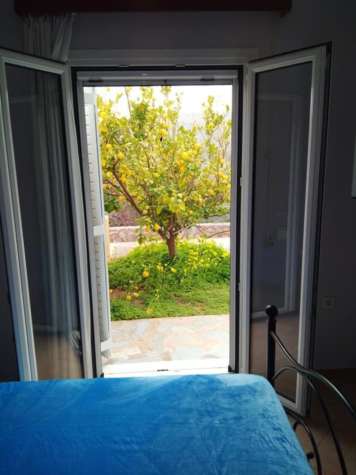 Alkioni Sea View Apartment Káto Zákros Bagian luar foto