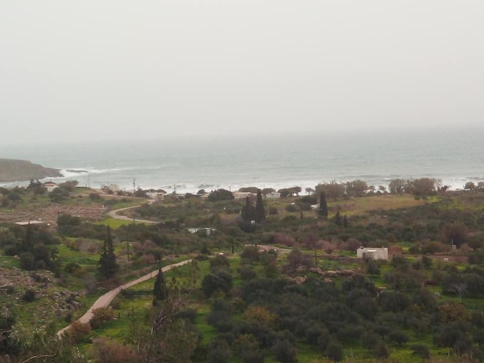 Alkioni Sea View Apartment Káto Zákros Bagian luar foto