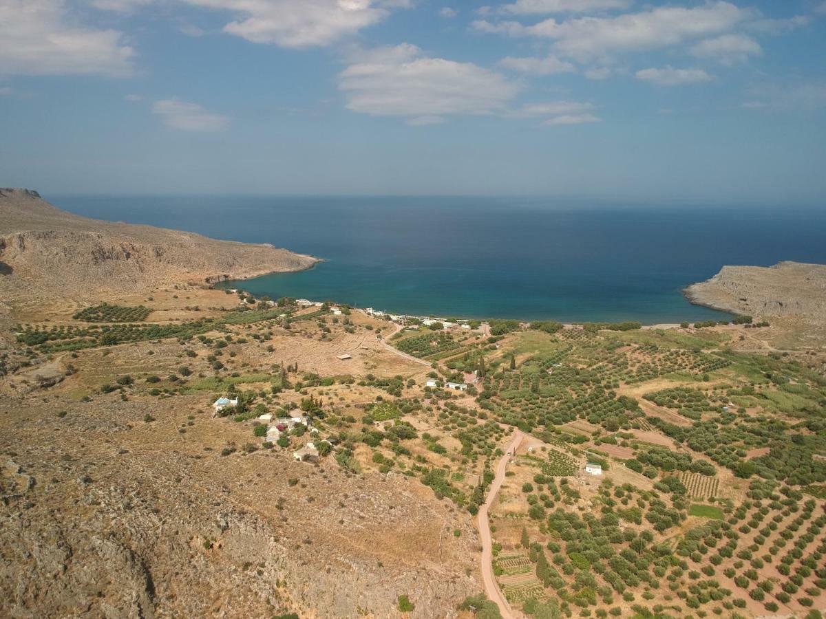 Alkioni Sea View Apartment Káto Zákros Bagian luar foto